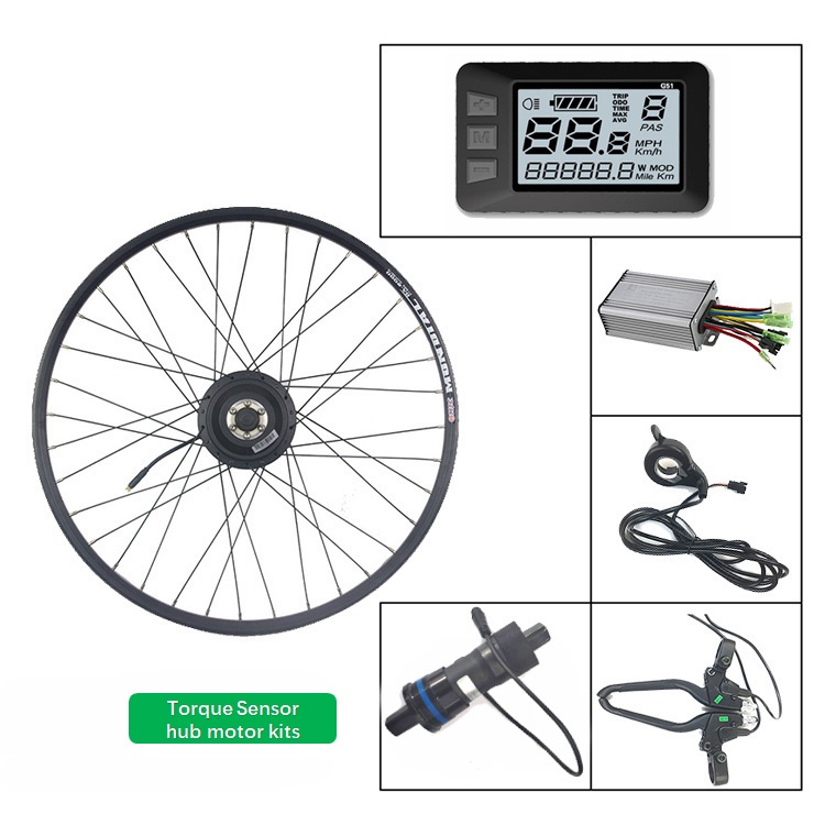 Electric Bicycle Hub Motor Conversion Kit